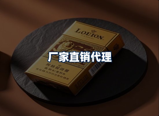 专业团队办公环境